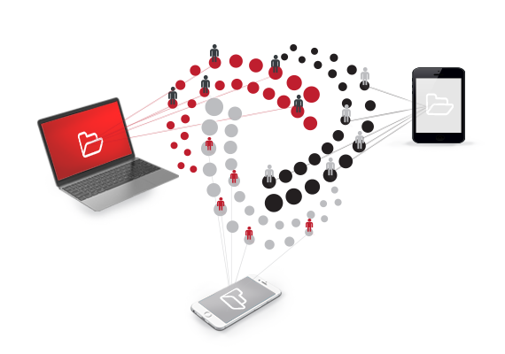 Higiena baz danych - email i hlr